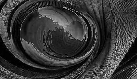 The Ghost in the Institutional Chain: JPMorgan’s Warning Is a Trojan Horse