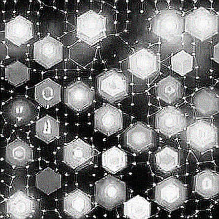 The Wire and the Void: Deconstructing the Bitcoin Short Squeeze Beyond the Price Feed The Wire and the Void: Deconstructing the Bitcoin Short Squeeze Beyond the Price Feed