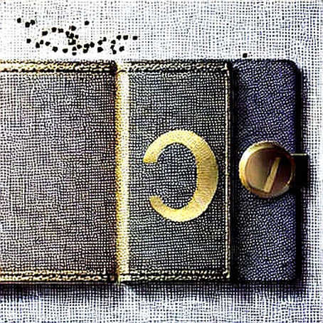 The Silence of the Audit: Why AlphaX's 'Double-Core' Might Be a Hollow Marketing Shell The Silence of the Audit: Why AlphaX's 'Double-Core' Might Be a Hollow Marketing Shell