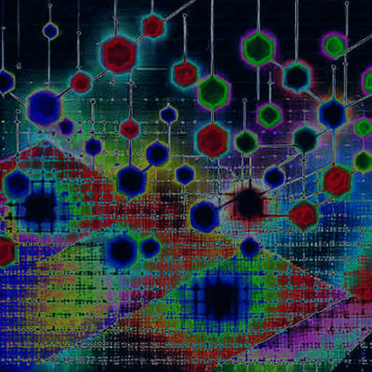 Mainnet Is a Word, Not a Ledger
